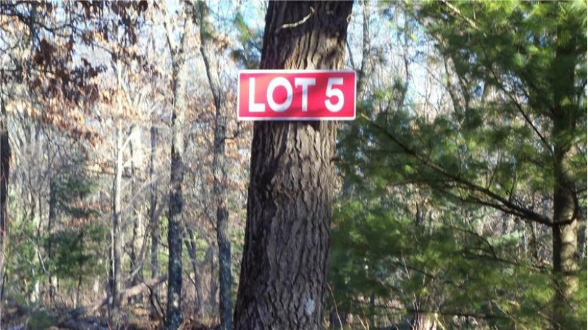 LOT 5 Borg Road Grantsburg, WI 54840 by Woods & Water Real Estate Llc, Ellsworth $23,900