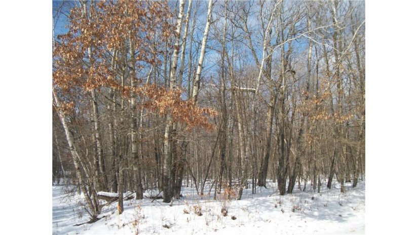 Lots 58 & 59 Woods Avenue Avenue Birchwood, WI 54817 by Dane Arthur Real Estate Agency/Birchwood $17,000