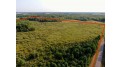 80 AC Ubinger Rd Wood, WI 54466 by United Country Midwest Lifestyle Properties $174,900