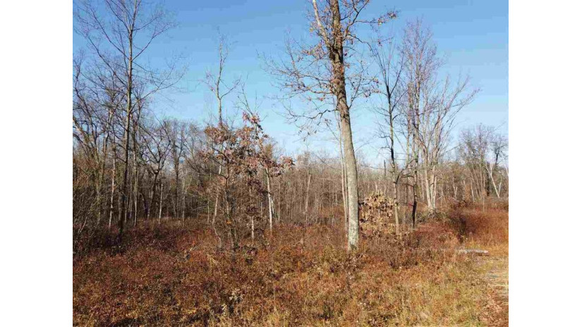 LOT 15 Dickerson Ave Foster, WI 54493 by Vip Realty $29,900