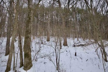 18987 County Road Z, Marshall, WI 53581