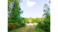 On Fish Hatchery Road Wolf River, WI 54491 by Integrity Realtors Llc $209,000