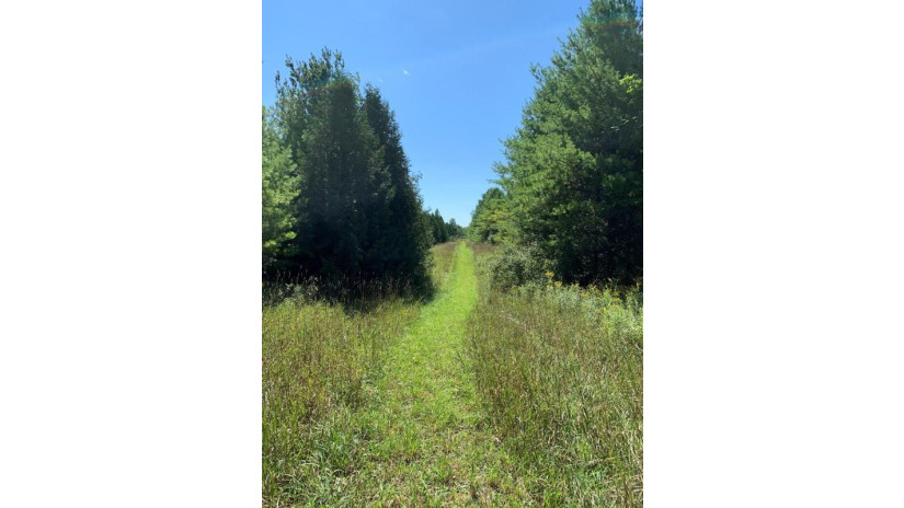 LOT 4 Plum Bottom Rd Sturgeon Bay, WI 54235 by Sarkis & Associates $129,900