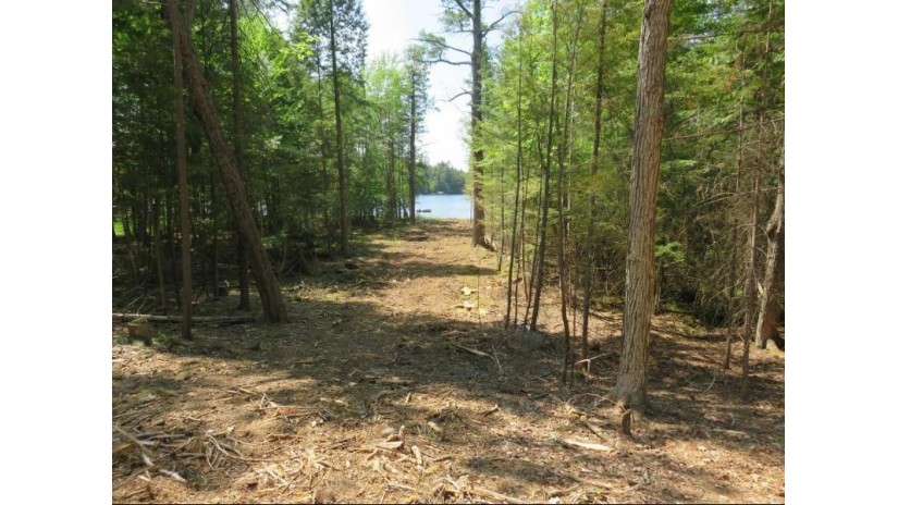 Lot 4 Drury Lane Loop Three Lakes, WI 54562 by Century 21 Burkett - Three Lks $169,000