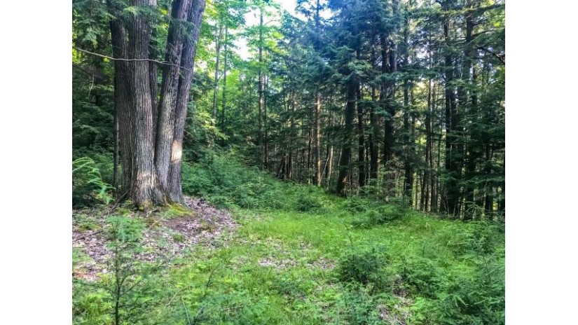 Lot 2 On Long Lake Dr Gleason, WI 54435 by Northwoods Community Realty, Llc $69,900