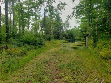 Off Damon Lake Rd 112 Acre, Watersmeet, MI 49969