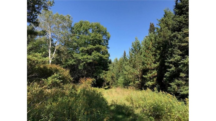 38.68 Acres Cty Hwy E Springbrook, WI 54875 by Northwest Wisconsin Realty Team $65,950