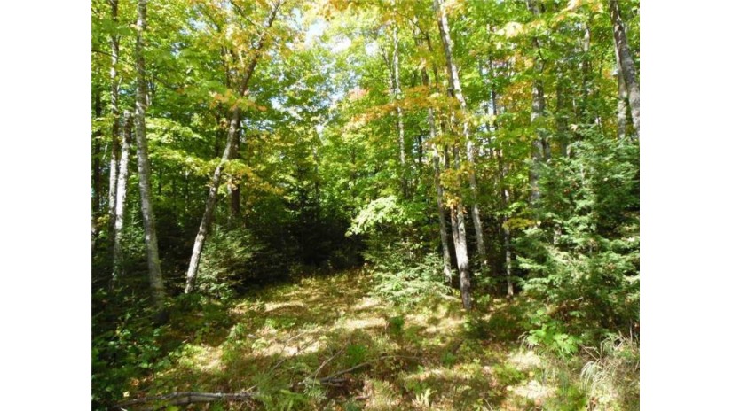 Lot 0 Pison Rd Solon Springs, WI 54873 by Keller Williams Realty Diversified $44,000