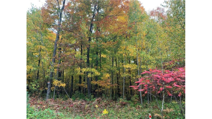 Lot 13 Hawk Haven Road Hayward, WI 54843 by C21 Woods To Water $29,900