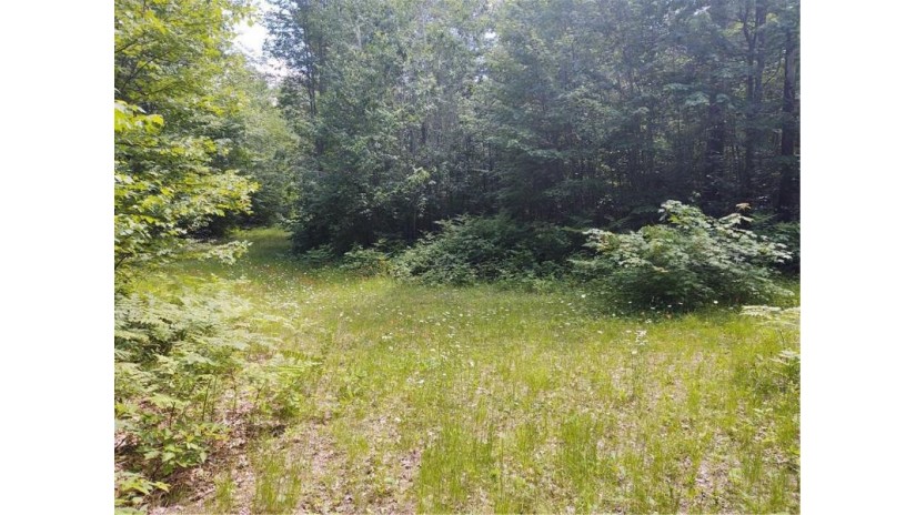 0000 Forest Road 420a Iron River, WI 54847 by Coldwell Banker Realty Minong $40,000