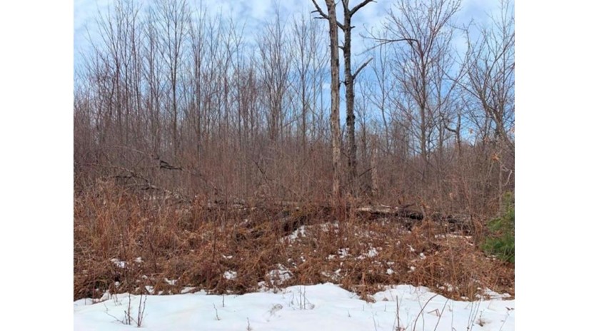 Lot 9 Trapper Trail Hayward, WI 54843 by C21 Woods To Water $21,750