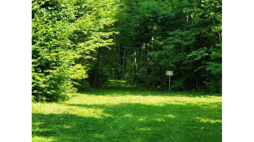 L1 Hidden Town Rd Hewett, WI 54403 by United Country Midwest Lifestyle Properties $54,500