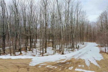 +/-6.97 Acres Forest Edge Road, Westboro, WI 54490