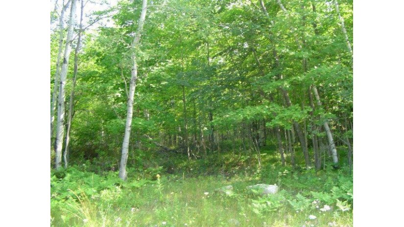 LOT #1 Heartland Tr Sister Bay, WI 54234 by Kellstrom-Ray Agency $37,900