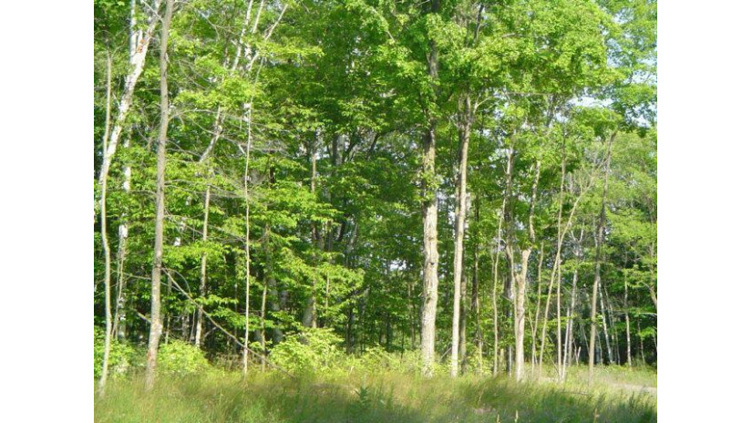 LOT #3 Heartland Tr Sister Bay, WI 54234 by Kellstrom-Ray Agency $39,500