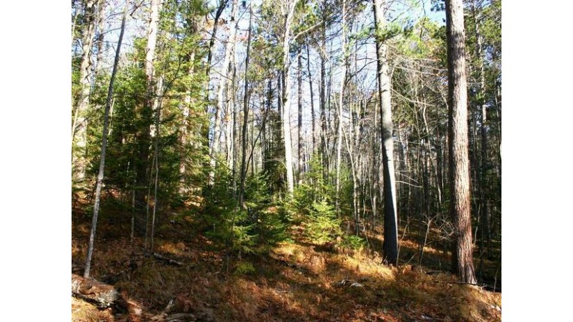 On Grand Eagle Tr Lot 6 Eagle River, WI 54521 by Century 21 Burkett & Assoc. $15,500