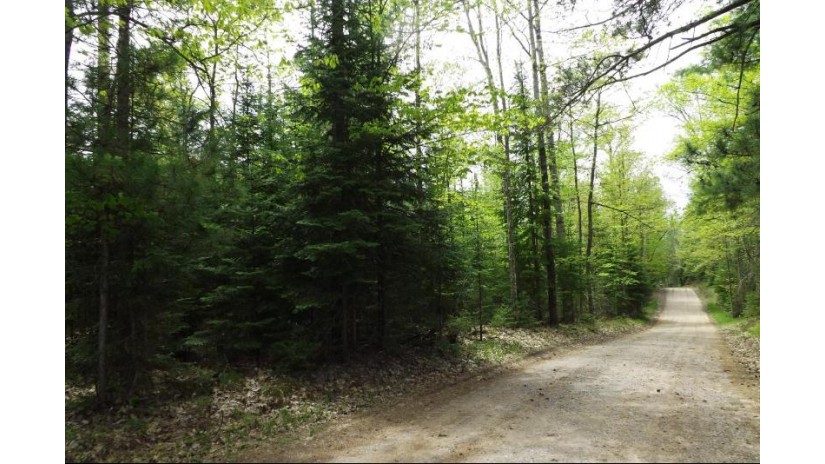 On Wildlife Ln 2.24 Acres Eagle River, WI 54521 by Century 21 Burkett & Assoc. $14,500