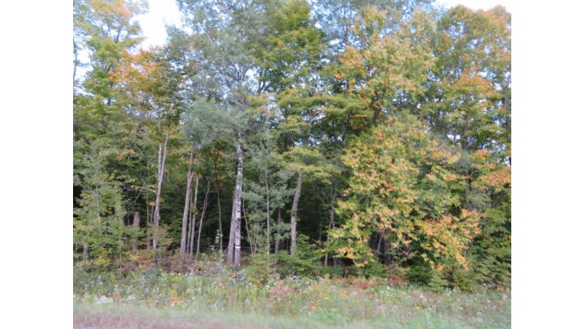 40 Acres Cth H Gleason, WI 54435 by First Weber - Merrill $92,500