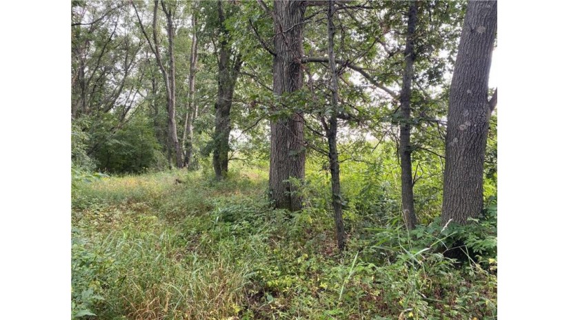 0 Maple Road Eau Claire, WI 54701 by Riverbend Realty Group, Llc $300,000