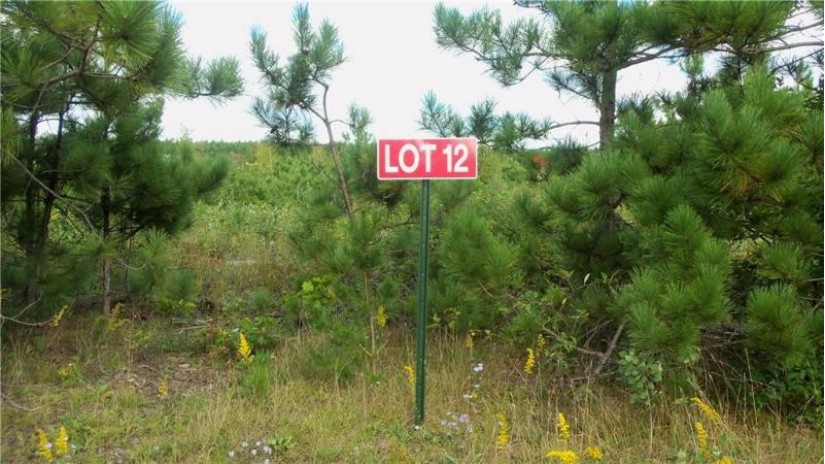 LOT 12 Pine Tree Trl Springbrook, WI 54875 by Woods & Water Real Estate Llc, Ellsworth $16,900