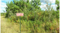 LOT 13 Pine Tree Trl Springbrook, WI 54875 by Woods & Water Real Estate Llc, Ellsworth $27,900