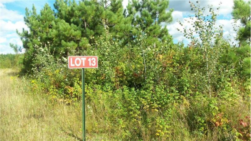 LOT 13 Pine Tree Trl Springbrook, WI 54875 by Woods & Water Real Estate Llc, Ellsworth $27,900