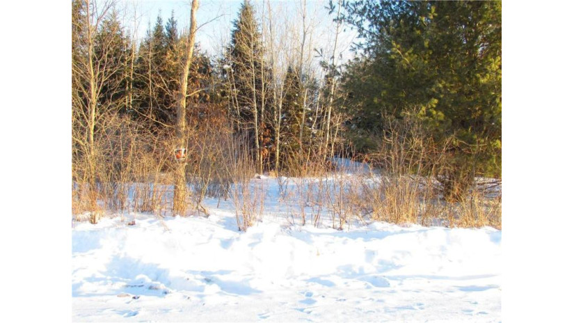 25.2 Acres Vance Road Black River Falls, WI 54615 by Clearview Realty Llc $79,900