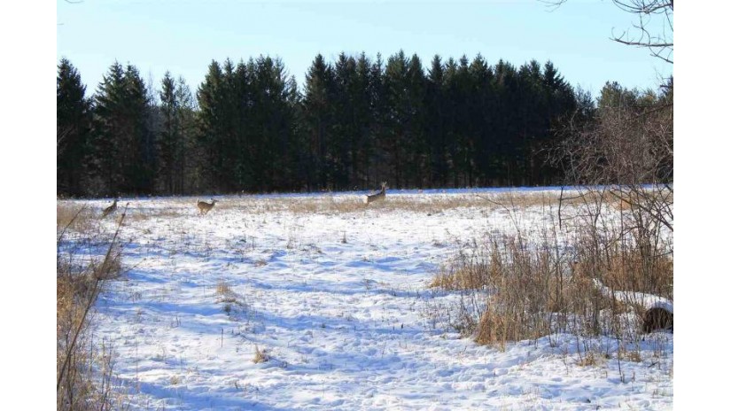 Blueberry Lane Lyndon, WI 53093 by Whitetail Properties Real Estate, LLC $466,854