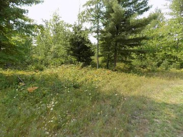 Red Pine Drive, Wolf River, WI 54491