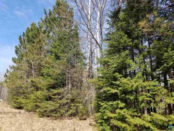 xxx Bark River Rd, Herbster, WI 54844