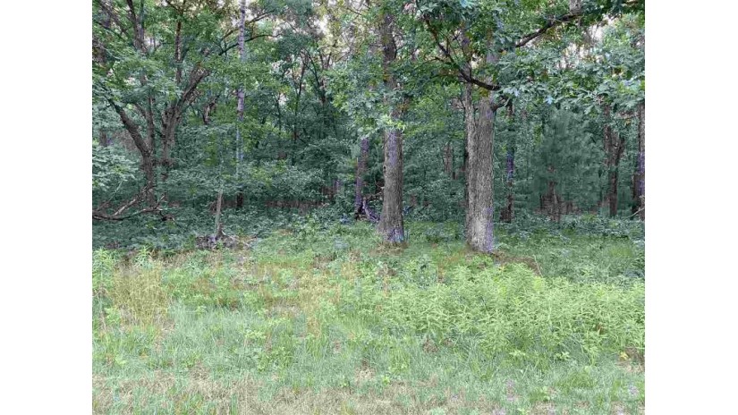 1.62 ACRES Jones Ave Germantown, WI 53950 by First Weber Inc $25,000