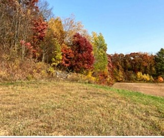 XXXX County Road I, Fall Creek, WI 54742