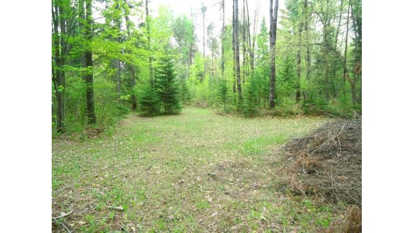 On Patricia Ln Tomahawk, WI 54487 by Northwoods Community Realty, Llc $48,000