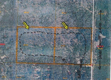 On Buckatabon Rd E 80 Acres, Conover, WI 54519