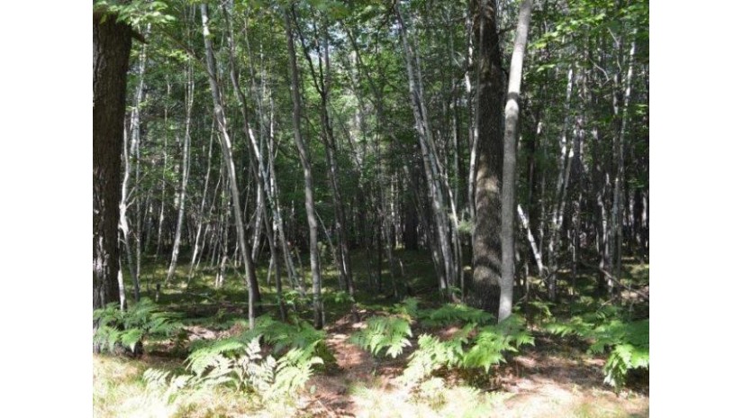 On Birchwood Cr Lot 3 Minocqua, WI 54548 by Re/Max Property Pros $39,900