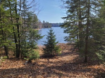 Off Bertland Rd, Lake Tomahawk, WI 54539