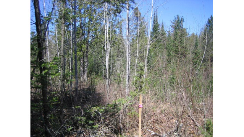 19.6 ACRES Wontor Rd Amberg, WI 54102 by Bigwoods Realty Inc $69,900