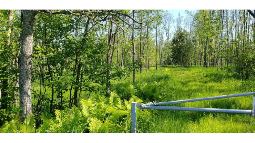 20 ACRES Birch Creek Rd Ingallston, MI 49858 by Weichert, Realtors-Place Perfect $50,000