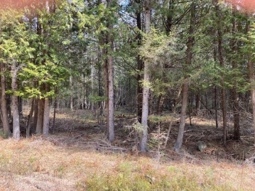 10.49 AC Downing, Amberg, WI 54102