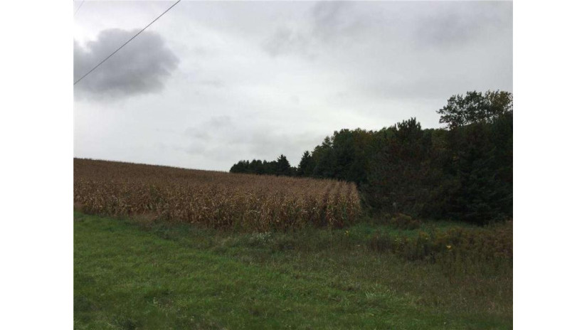 2486 (Lot1) Pierce Saint Croix Road Baldwin, WI 54002 by Keller Williams Realty Integrity/Hudson $74,900