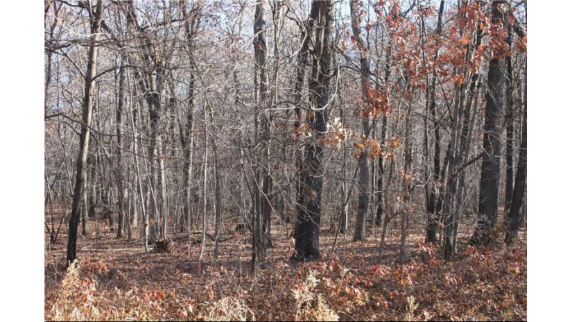 Lot 12 33rd Street Elk Mound, WI 54739 by Donnellan Real Estate $41,000