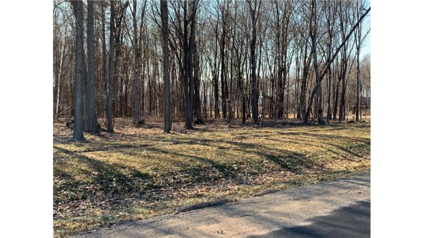 Lot 8 Cottonwood Circle Eau Claire, WI 54701 by C & M Realty $84,900