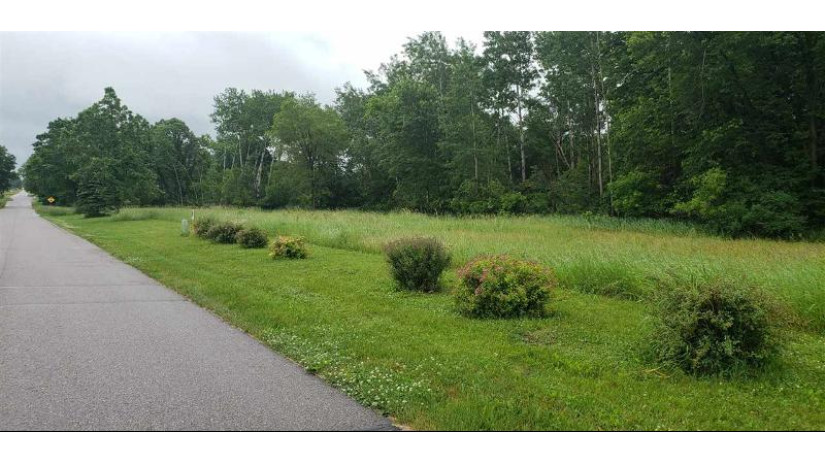 5.92 AC Golden Ave New Haven, WI 53920 by Wisconsin Dells Realty $39,900