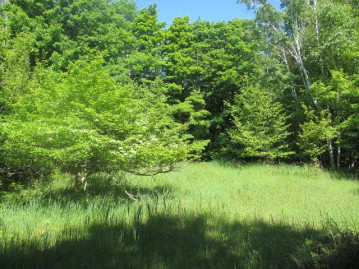 LOT 9 Green Tree Rd, Washington Island, WI 54246