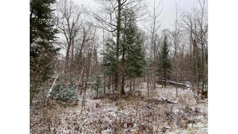 000 Chip N Dale Dr Lot 51 Pickerel, WI 54465 by Absolute Realtors Inc. $8,500