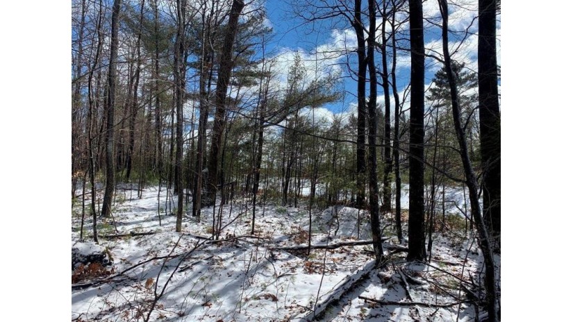 Lot 2 Woodland Green Lane Stone Lake, WI 54876 by Edina Realty, Inc. - Spooner $20,000