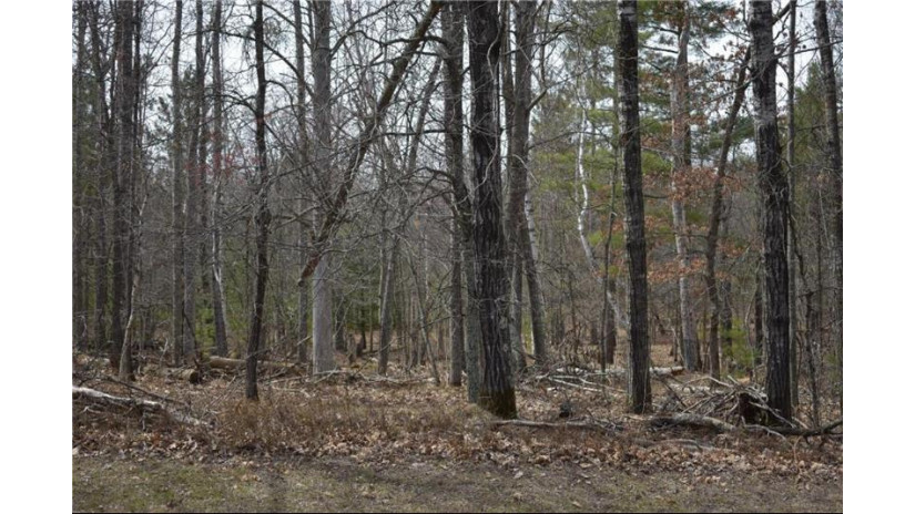 0 Treasure Island Drive Lot 39 Danbury, WI 54830 by Voyager Village Realty Llc $10,000