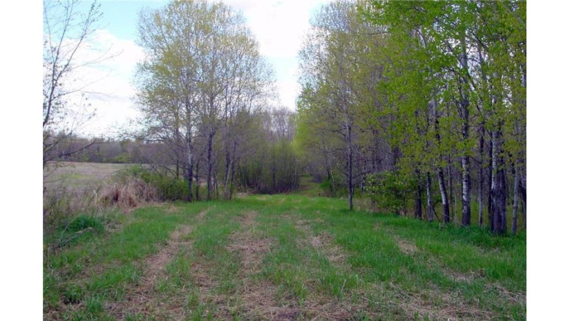 4 Acres on Vine Street Conrath, WI 54731 by Cb Northern Escape/Ladysmith $16,000