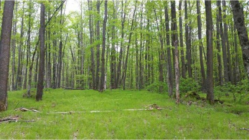 Limberg Lane Silver Cliff, WI 54104 by Boss Realty, LLC $54,000