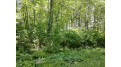 1.64 AC Hancock Lake Rd Woodboro, WI 54529 by First Weber Inc $19,900